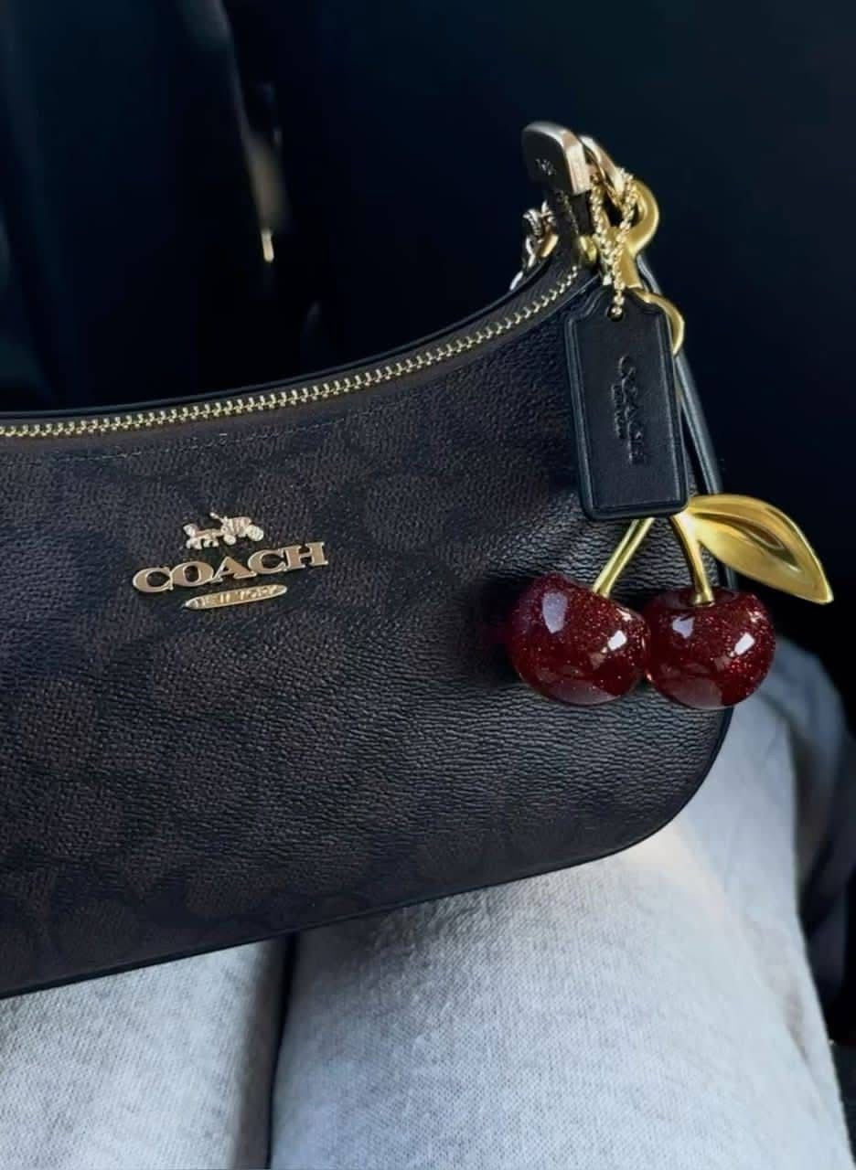 Coach Teri Shoulder Bag Brown Canvas