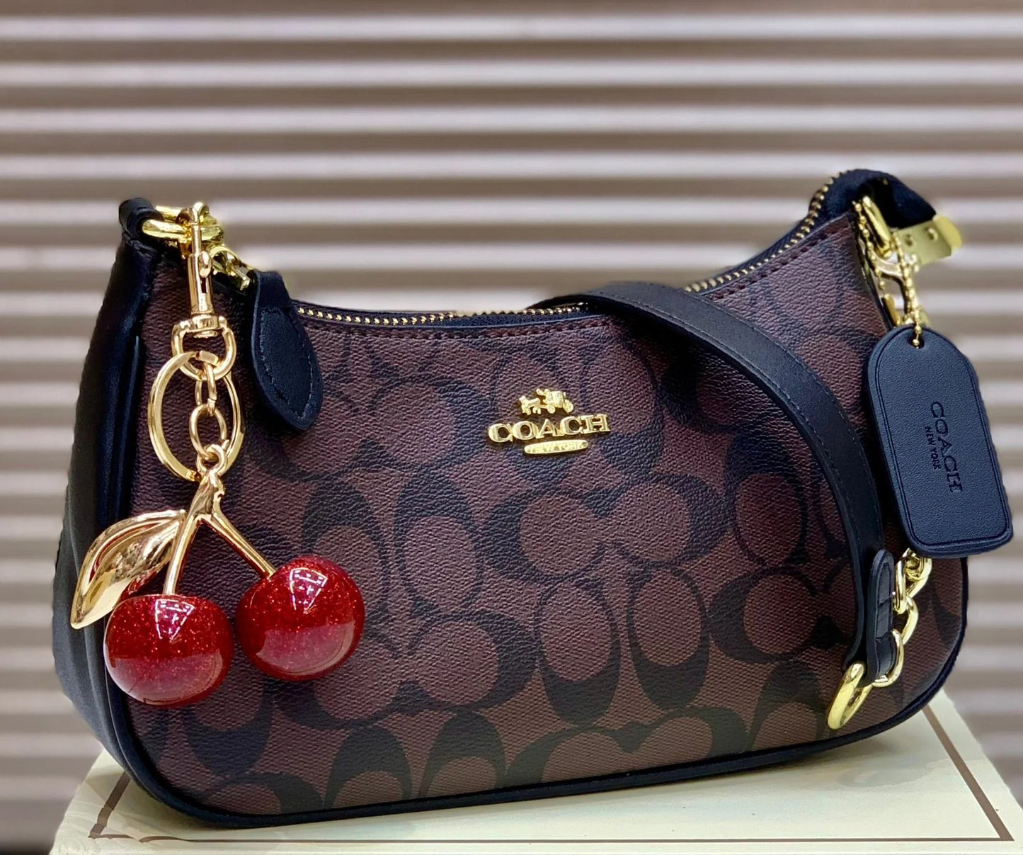 Coach Teri Shoulder Bag Brown Canvas